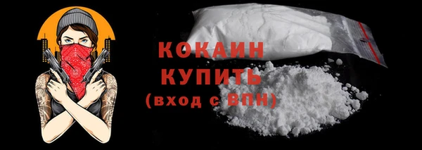 прущие грибы Приозерск