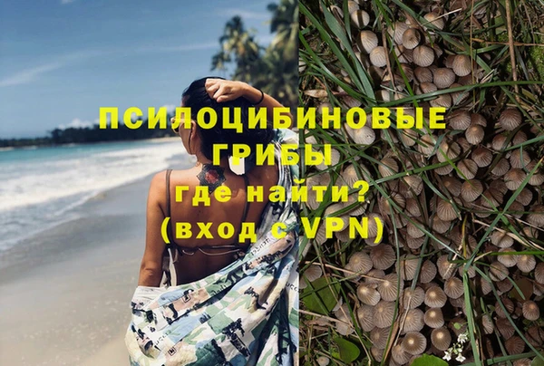ешки Абинск