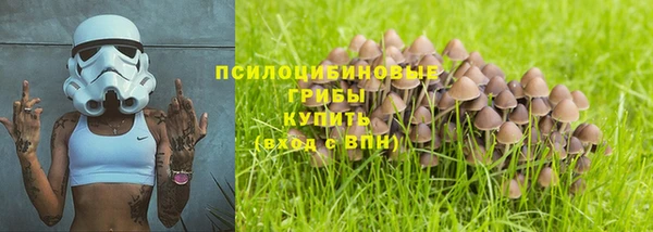 мескалин Пролетарск