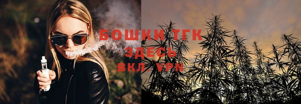 ешки Алексеевка