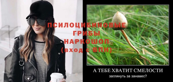 ешки Абинск