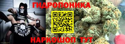 шишки Бузулук