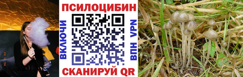 ссылка на мегу сайт Кострома Псилоцибиновые грибы Magic Shrooms