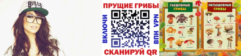 Псилоцибиновые грибы GOLDEN TEACHER Кострома