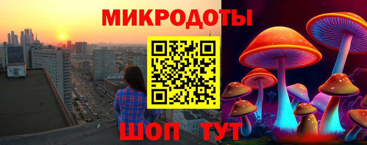 Псилоцибиновые грибы Psilocybine cubensis  Вход с VPN  Кострома 